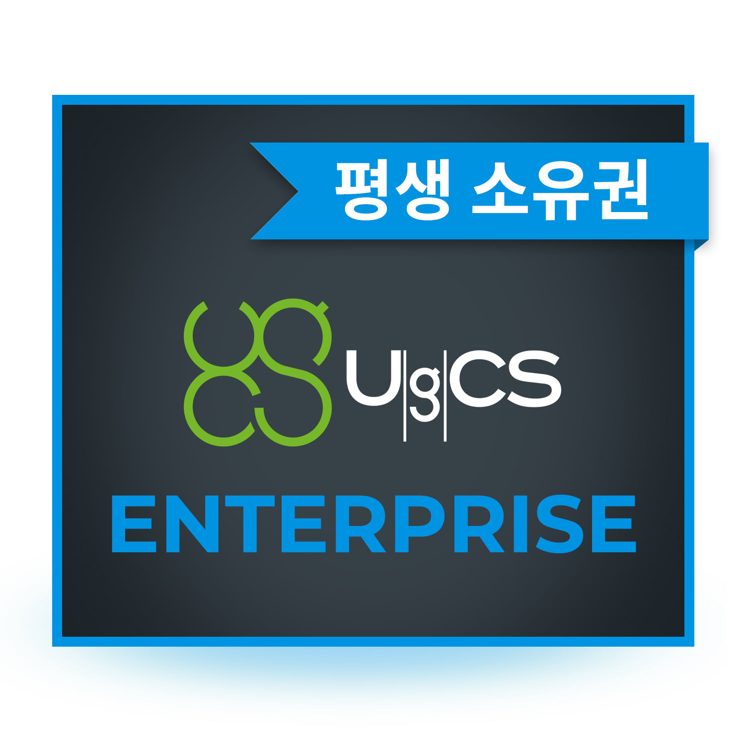 UgCS Enterprise 드론관제 측량 소프트웨어 평생소유 헬셀