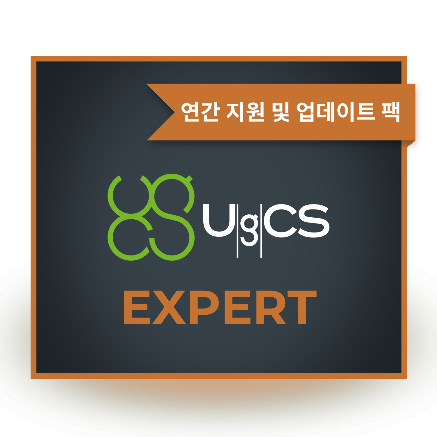 UgCS EXPERT[연간지원 업데이트팩] 임무계획| 비행제어소프트웨어 헬셀