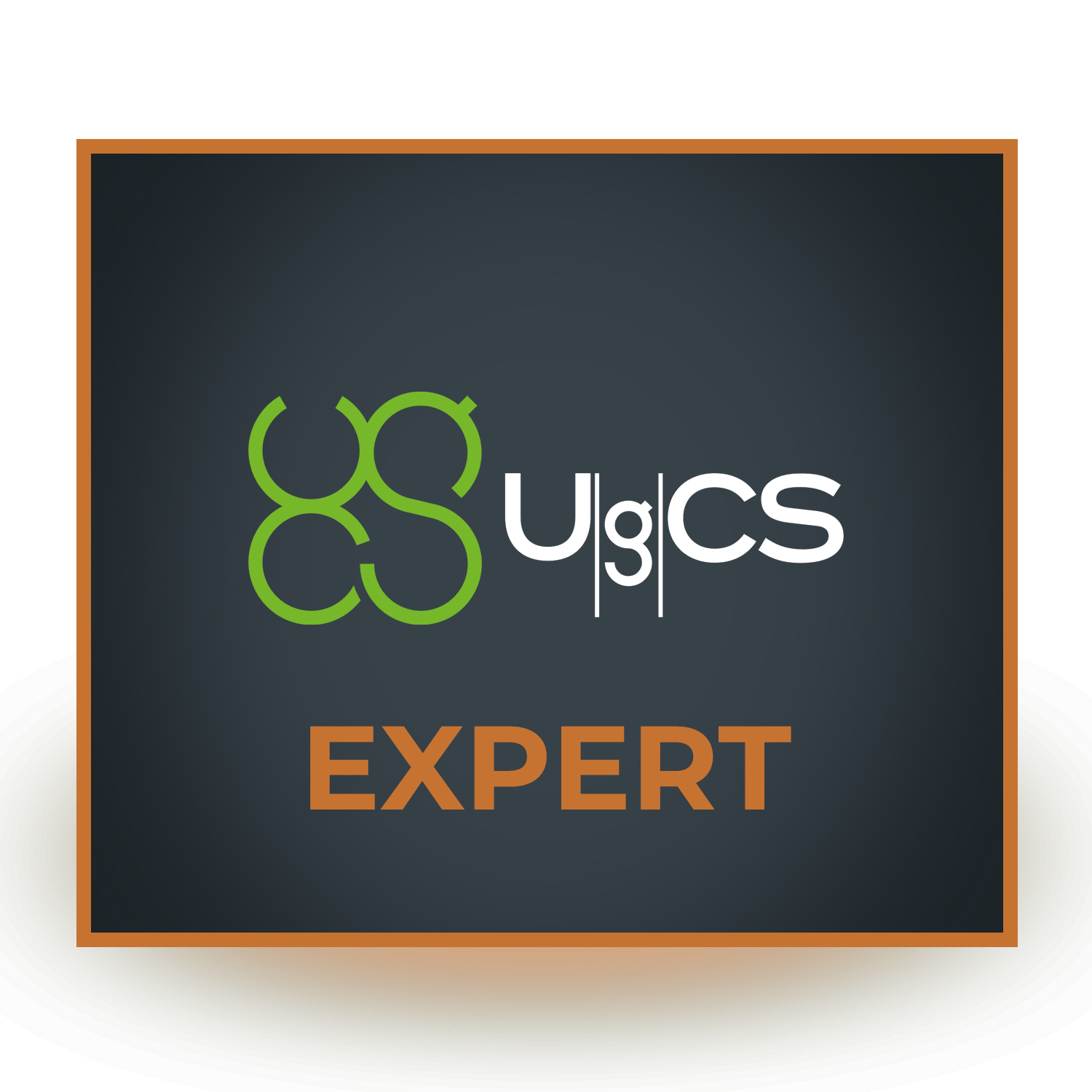 UgCS EXPERT[평생소유] 임무계획| 비행제어소프트웨어 헬셀