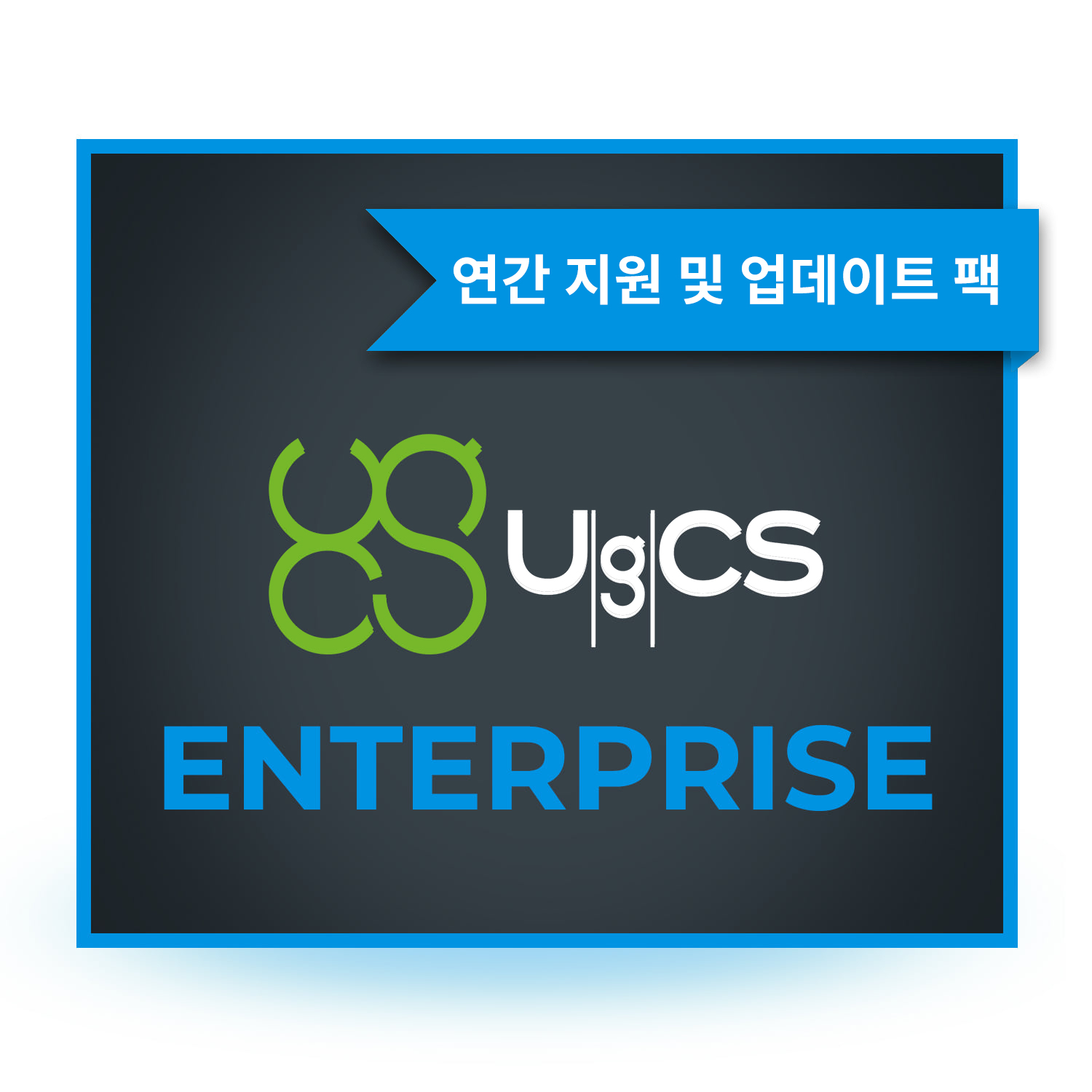 UgCS Enterprise[연간지원 업데이트팩] 임무계획| 비행제어소프트웨어 헬셀